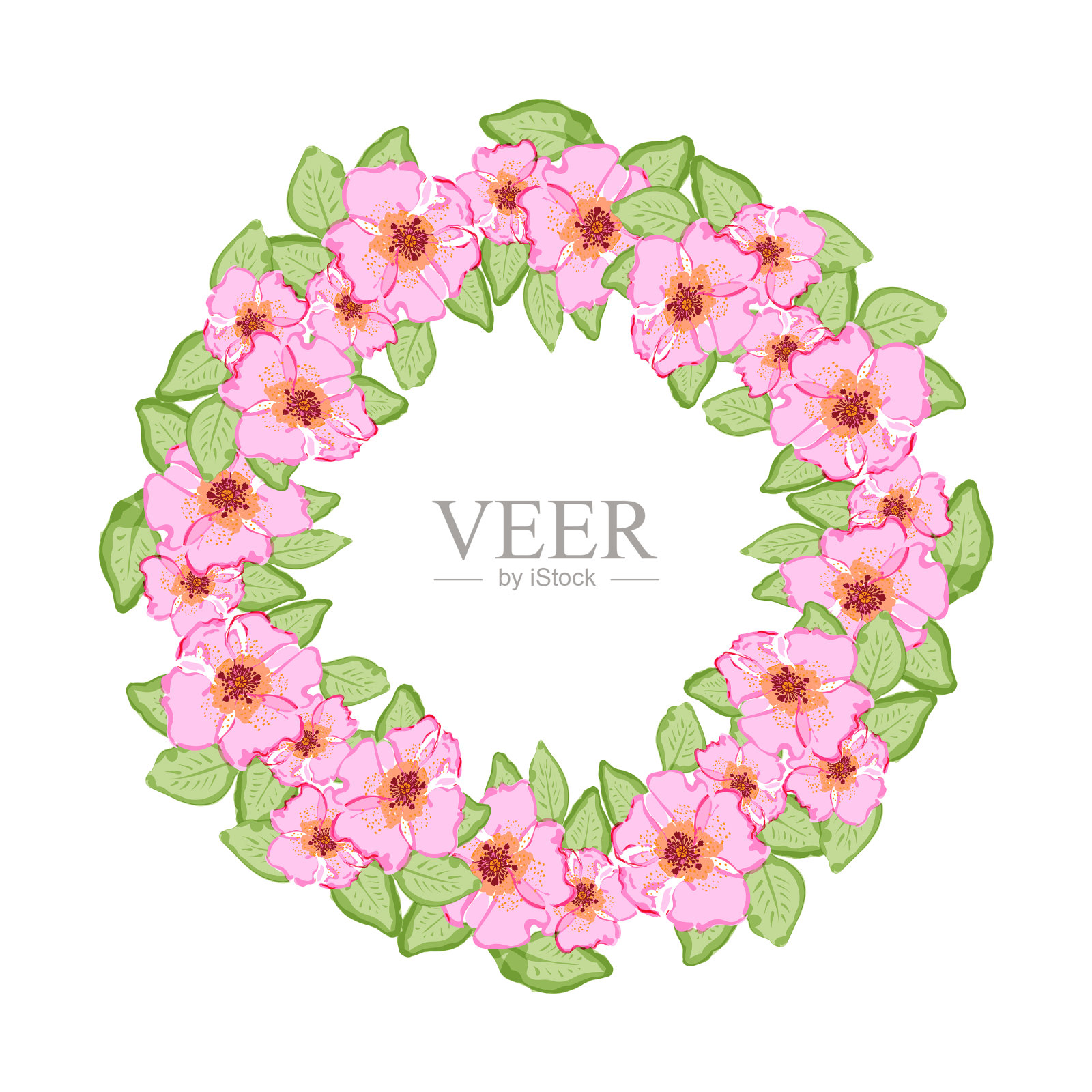 手画彩色狗玫瑰花圆形插画图片素材