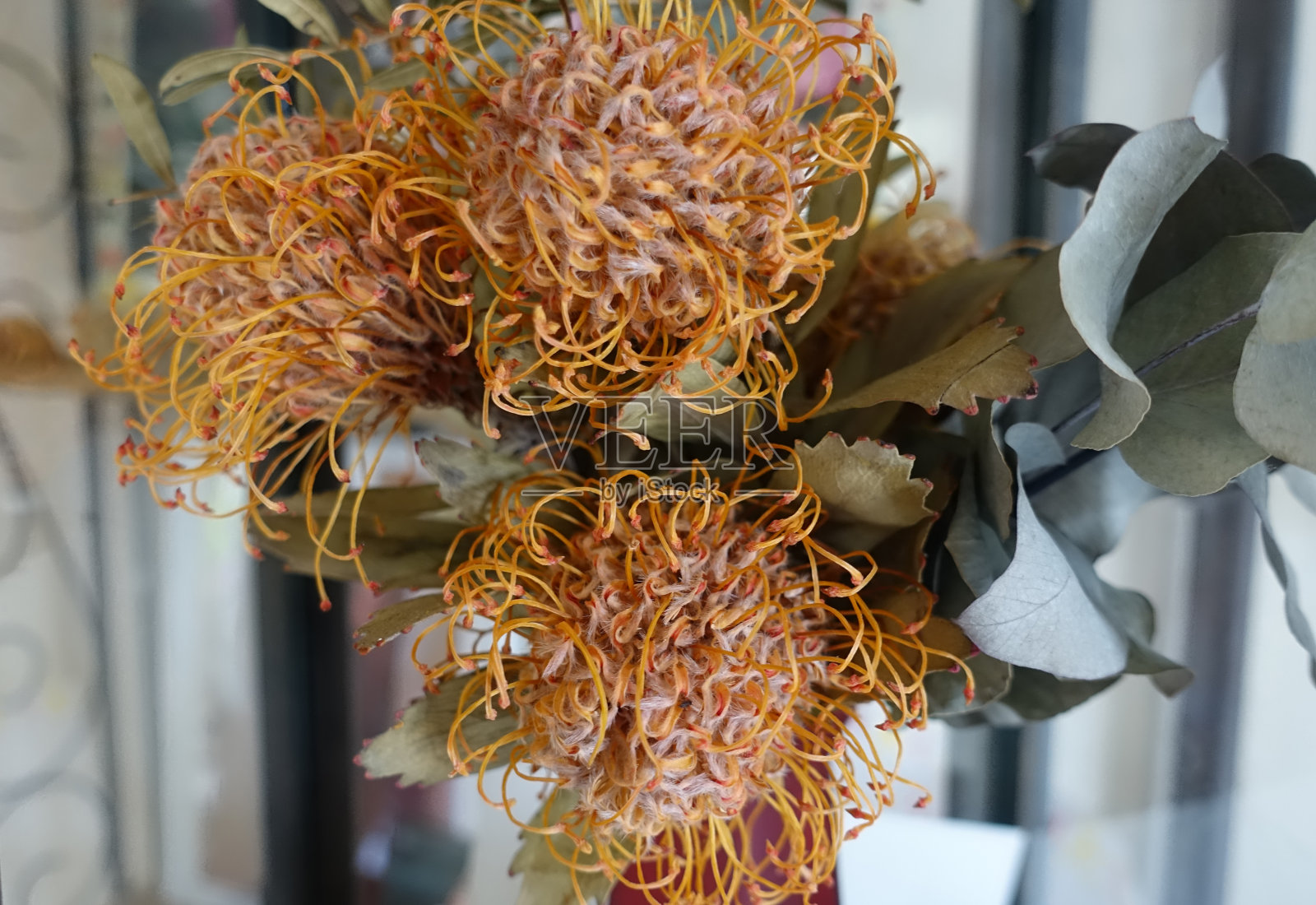 室内装饰中的干花照片摄影图片