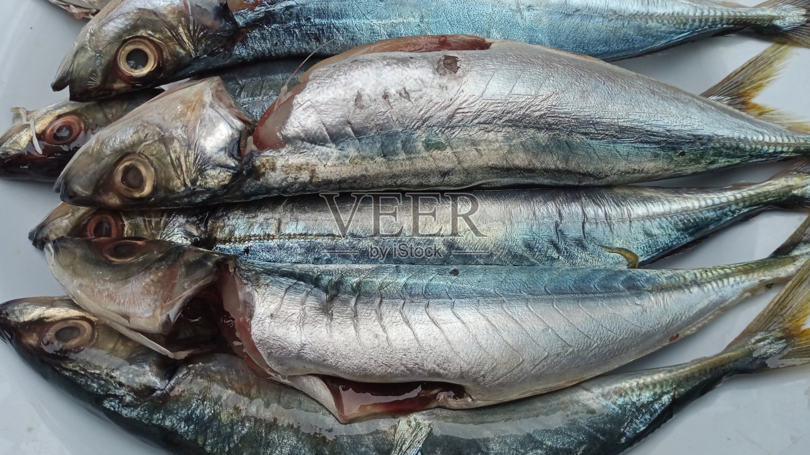 在印度尼西亚的亚齐，渔民以沙丁鱼的形式捕获照片摄影图片