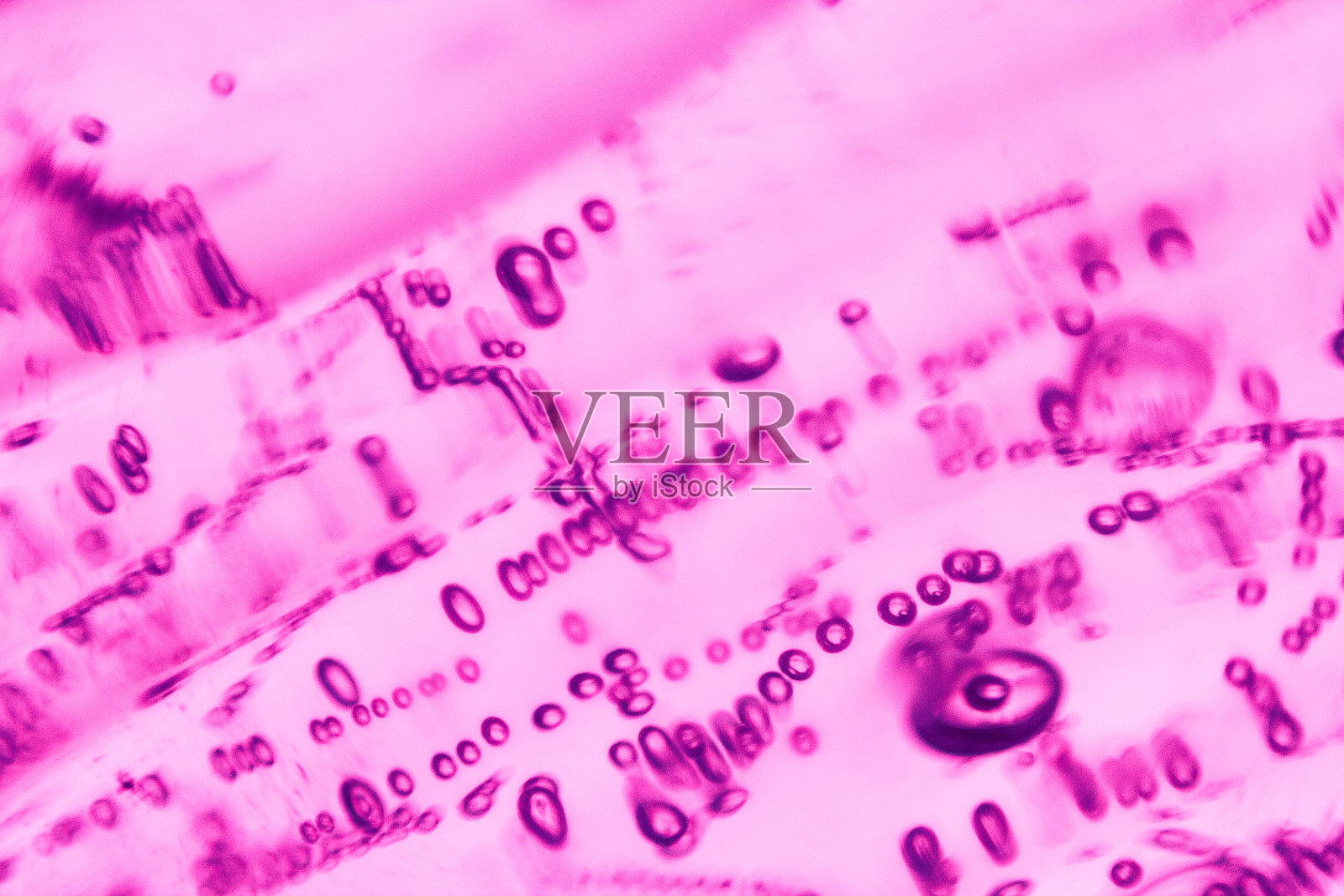 品红色气泡图案照片摄影图片