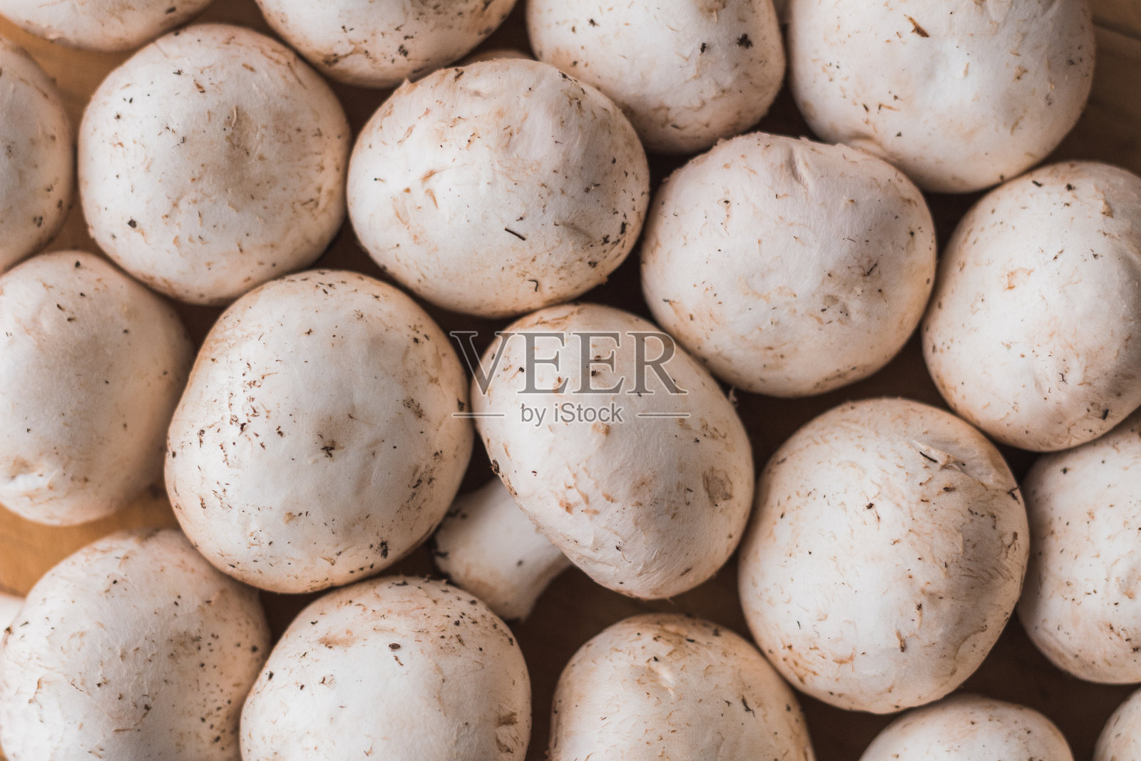 木桌上放蘑菇照片摄影图片