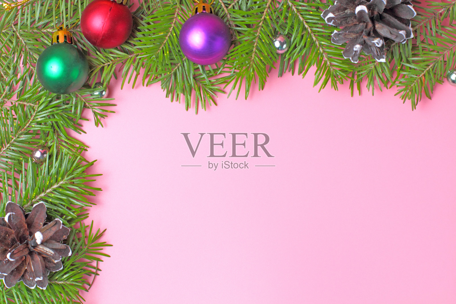 在粉红色背景上的圣诞树树枝框架。放置文字，问候，邀请，招牌。照片摄影图片