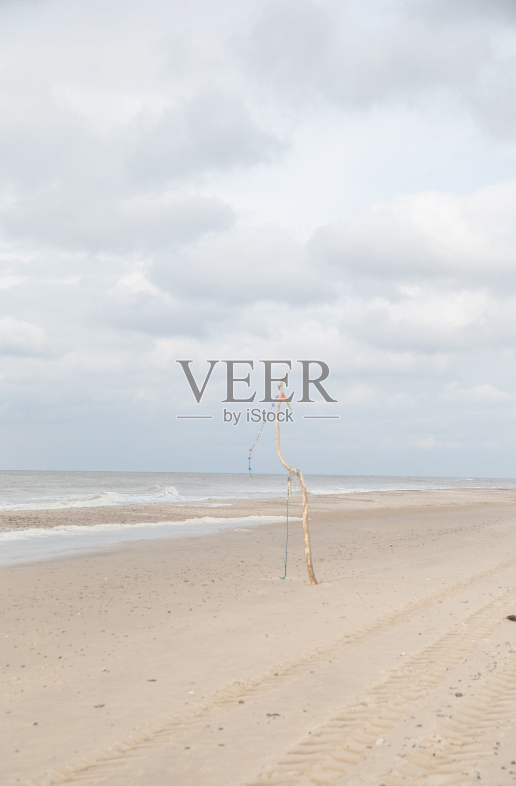 在丹麦西海岸放风筝照片摄影图片