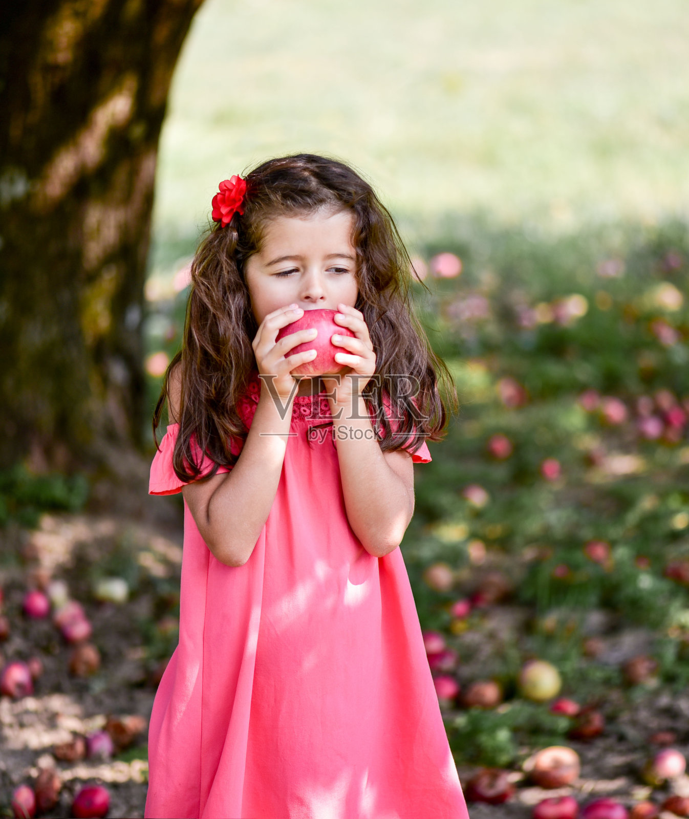 这个女孩正在咬一个红苹果。摘苹果和水果的季节。秋天的概念。新鲜的苹果。照片摄影图片