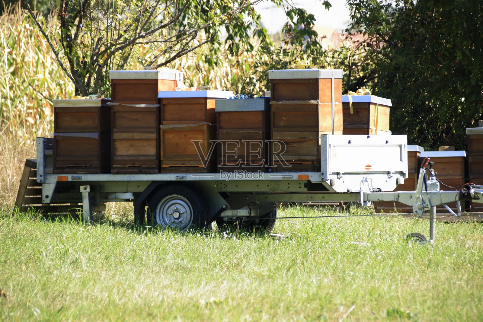 蜂箱被放在拖车上运输照片摄影图片