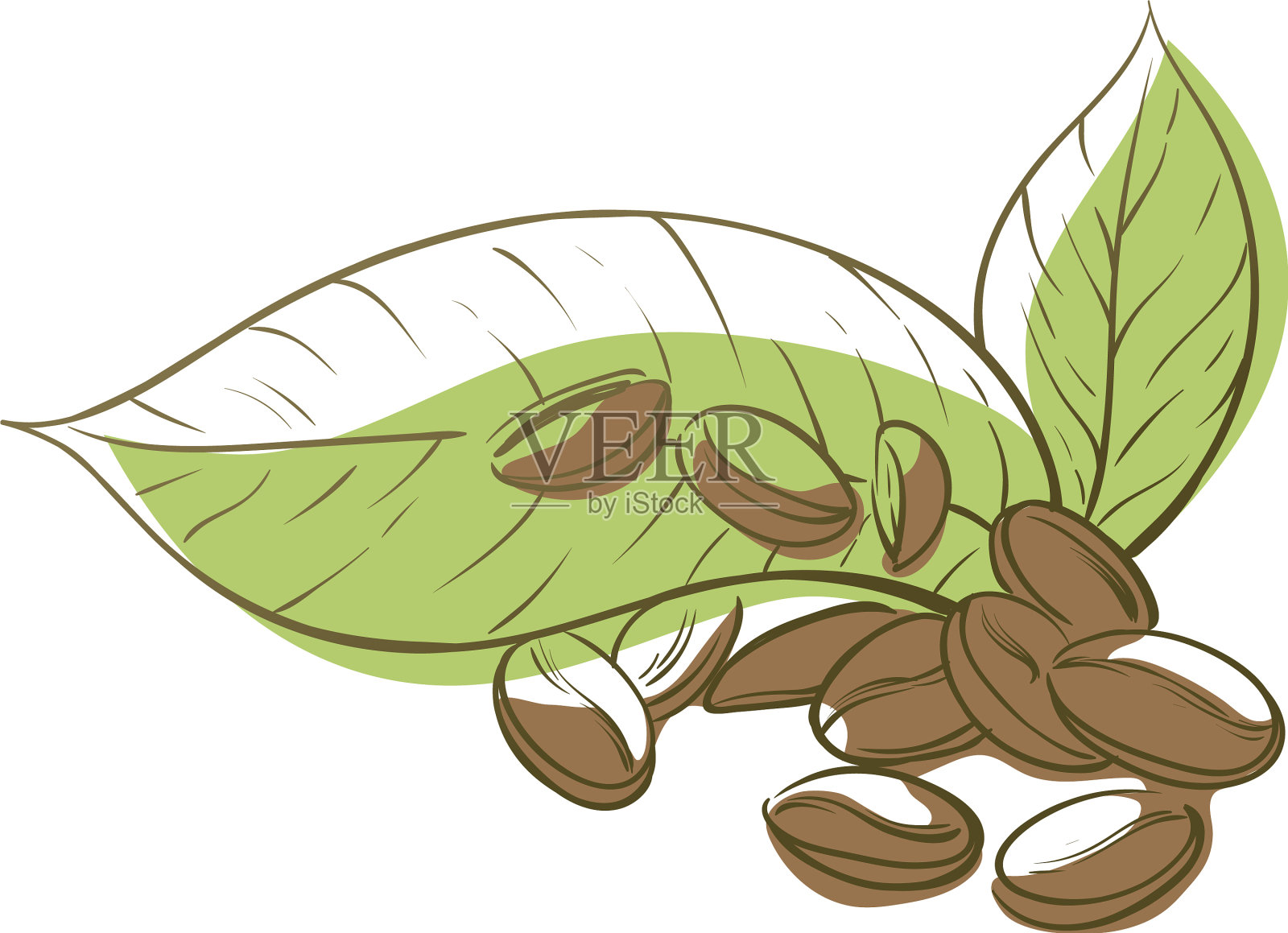 咖啡豆象征着新鲜饮料的棕色种子设计元素图片