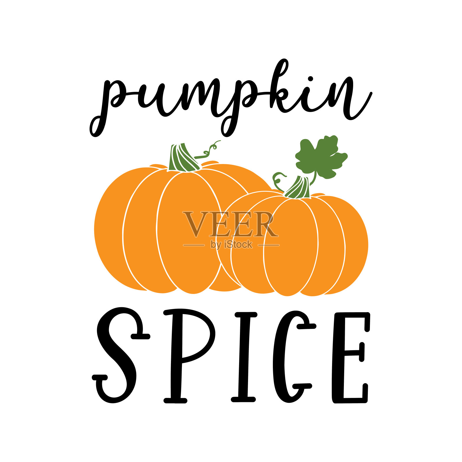 手绘南瓜香料作为横幅。用于海报、标签、贴纸、传单、页眉、卡片、广告、公告的字体。插画图片素材
