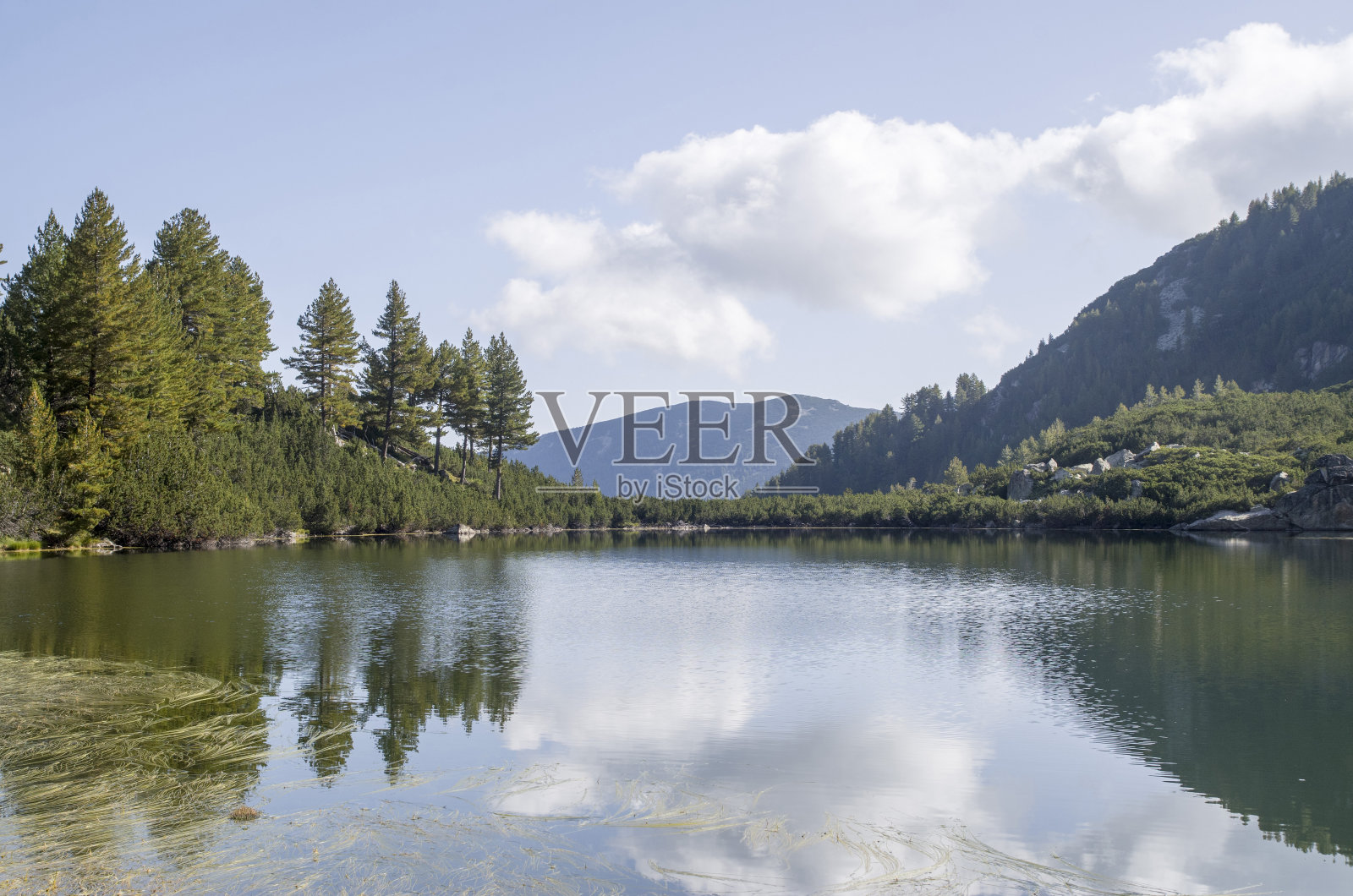 山上的湖被松树和小矮人以及他们在水中的倒影所包围照片摄影图片