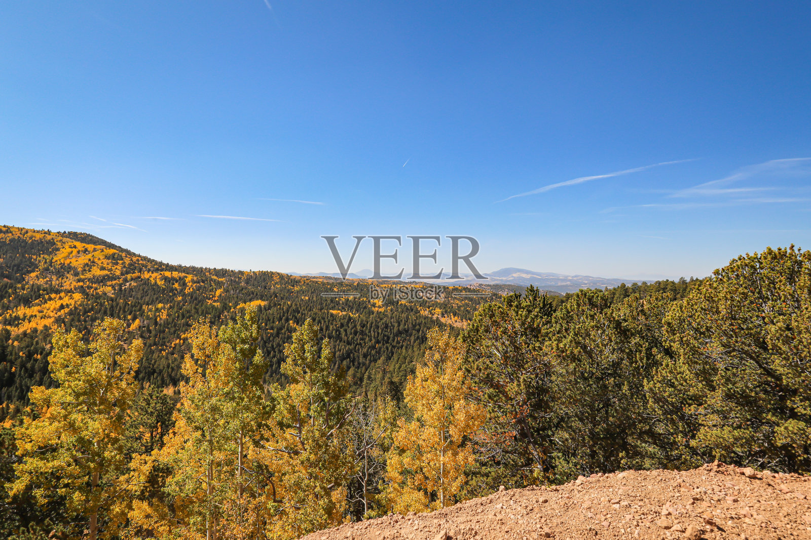 秋叶照片摄影图片