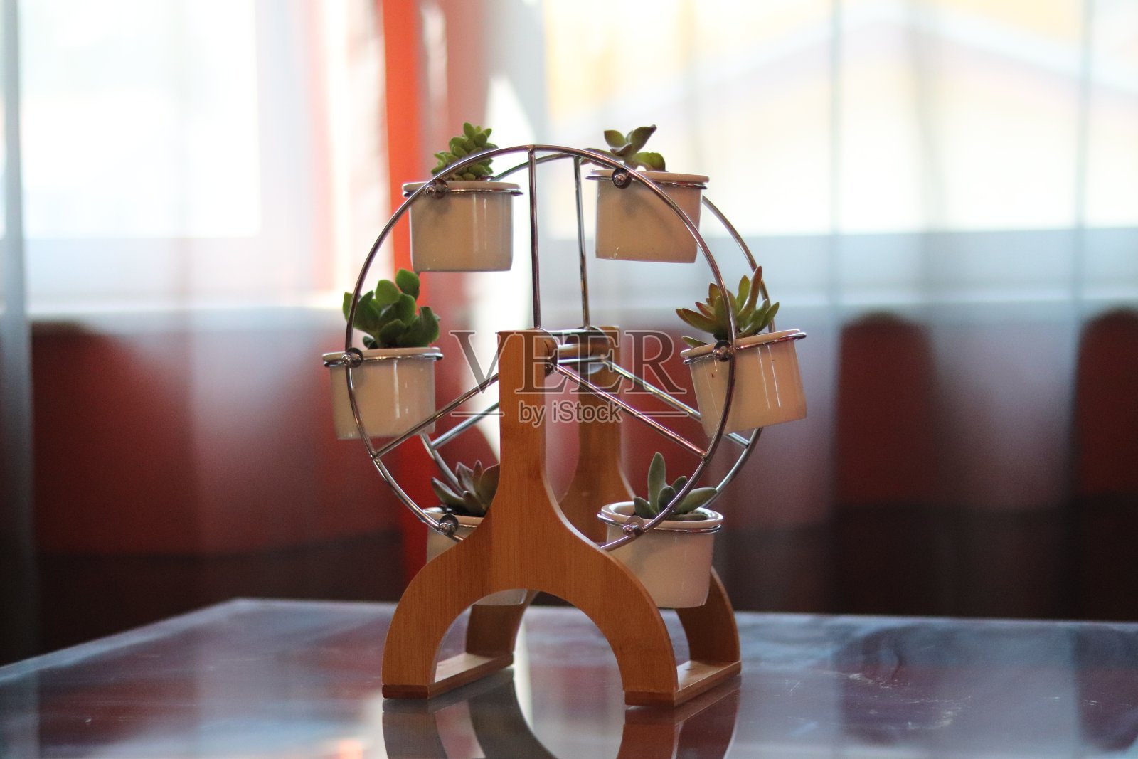 植物轮照片摄影图片