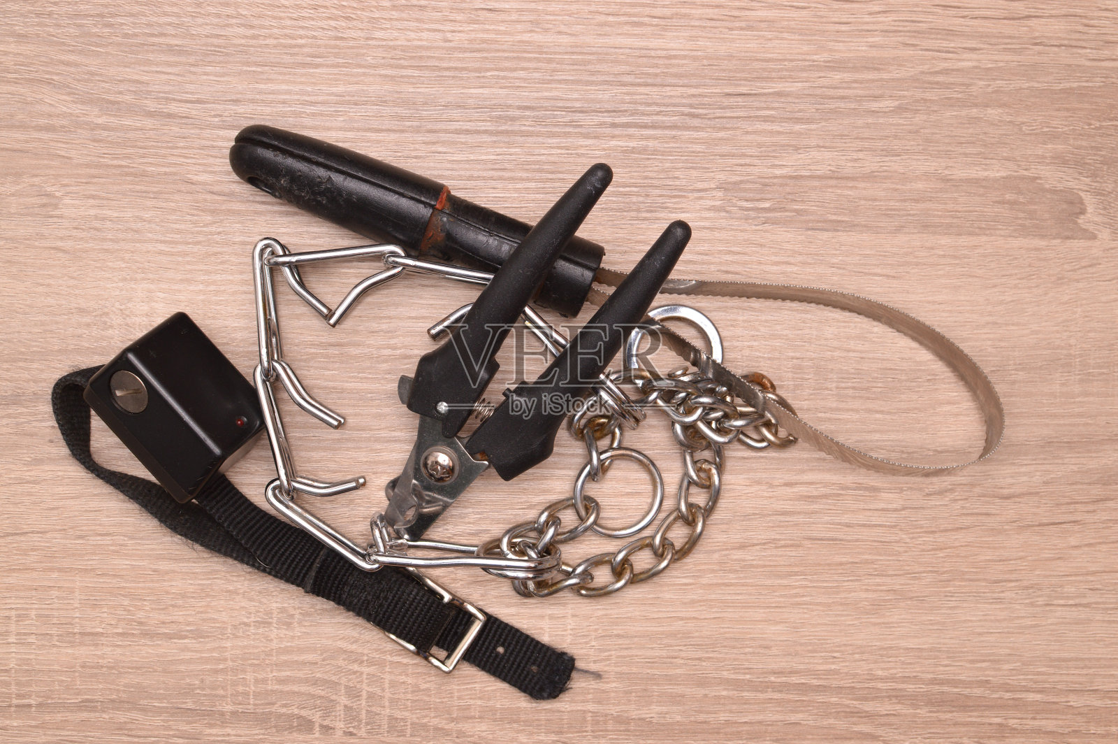 狗配件照片摄影图片