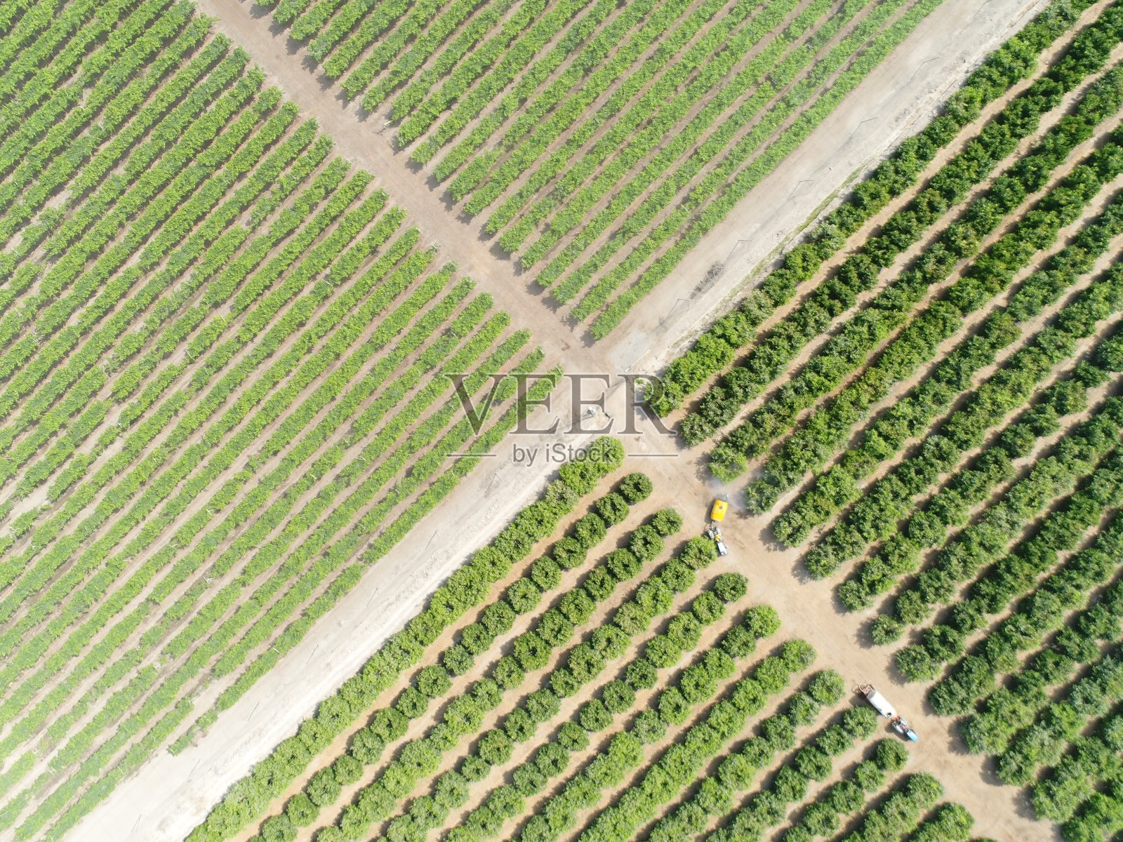 农业领域的航空图像。图片由无人机制作。照片摄影图片