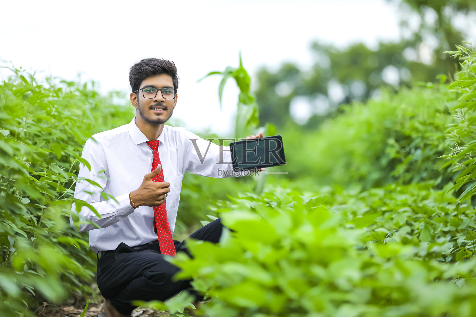 技术与人的概念，年轻的印度农学家在田间展示平板电脑照片摄影图片
