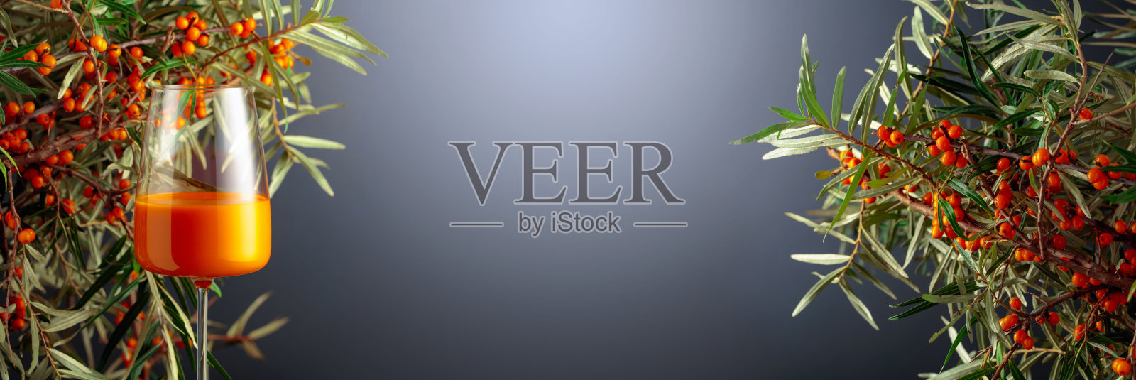 一杯沙棘维生素汁和新鲜的沙棘浆果在树枝上。照片摄影图片