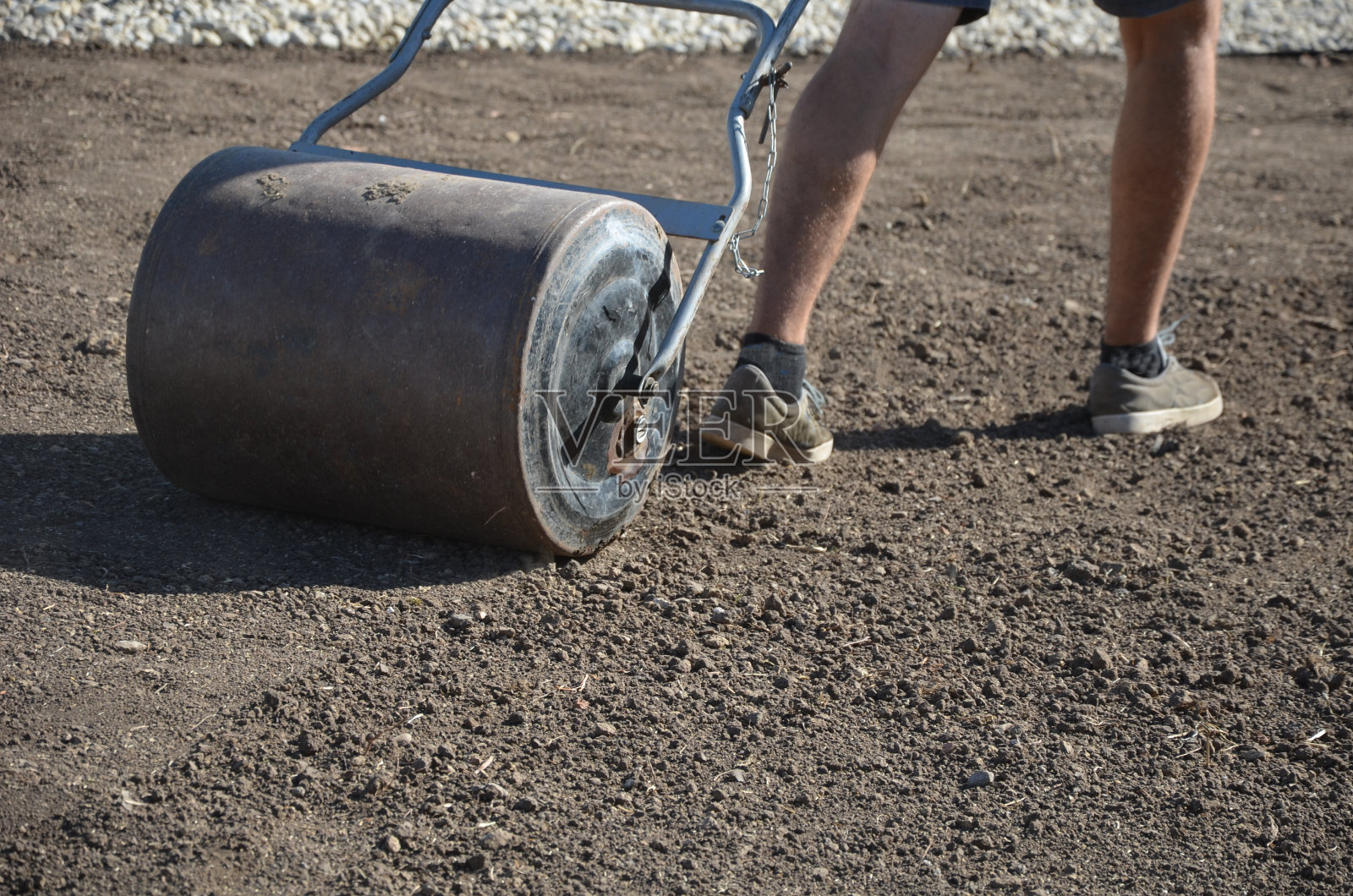 在草坪播种前用土壤中耕机准备土壤。土壤松、耙、播。用装满水的金属手压路机碾压种子，这样种子就会重一些照片摄影图片