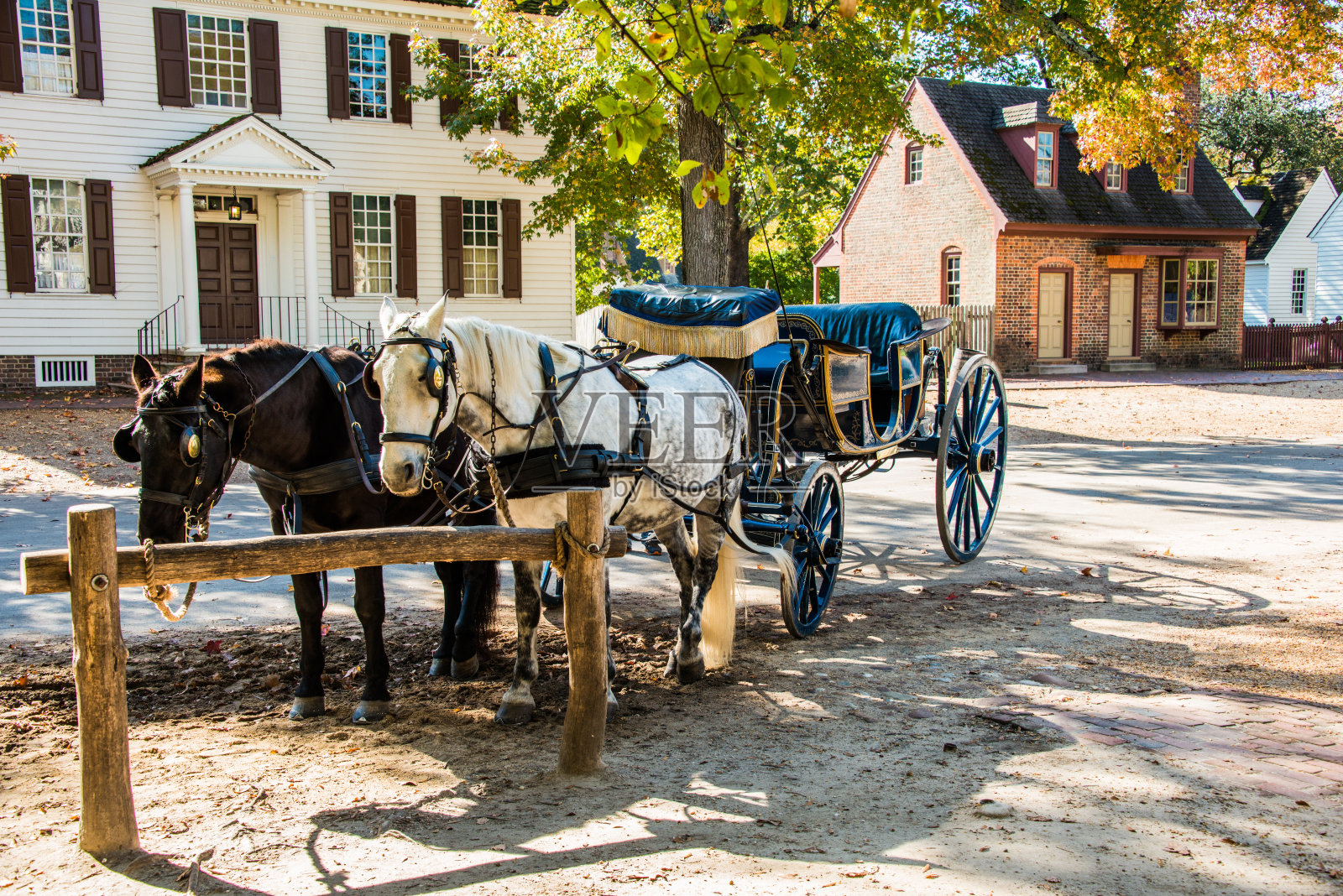 马和马车照片摄影图片