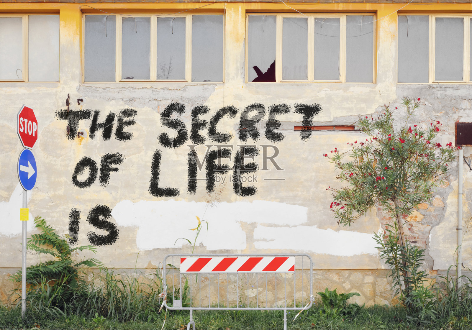 生命的秘密照片摄影图片