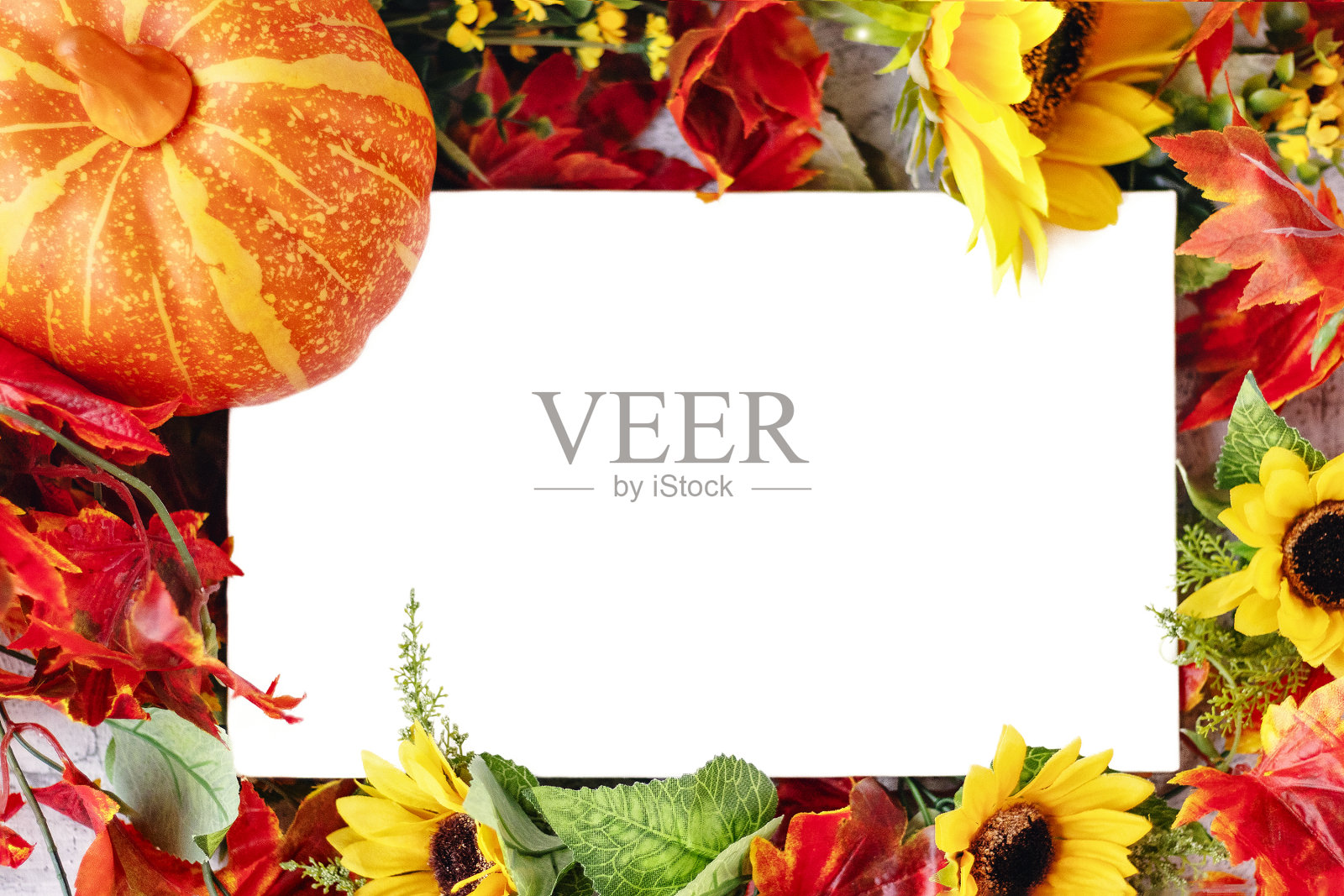 秋天背景:橙色南瓜，黄色向日葵，橙色和红色的叶子，雏菊花模型，花卉框架为设计照片摄影图片