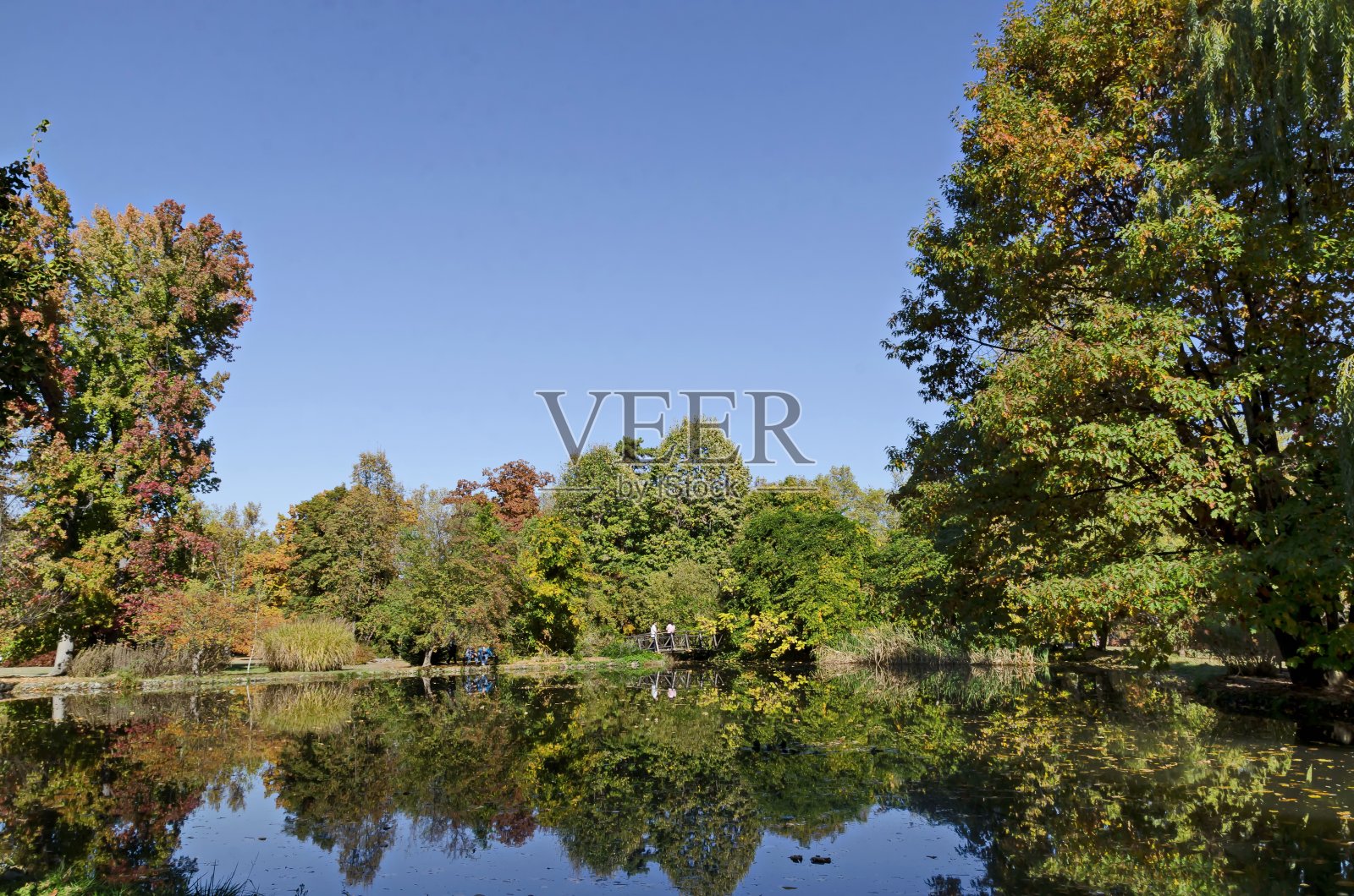 秋天五颜六色的森林与一个湖和它的倒影，公园弗拉纳照片摄影图片