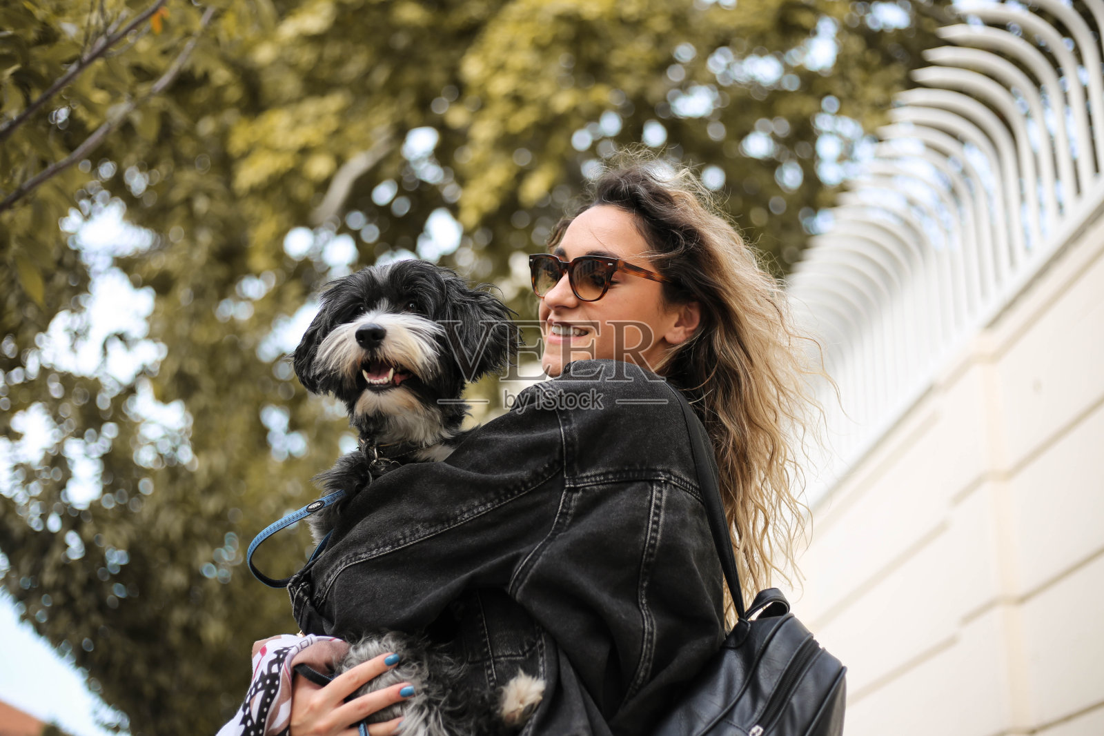 一个年轻女人抱着她的狗在一个晴朗的秋天在公园里照片摄影图片