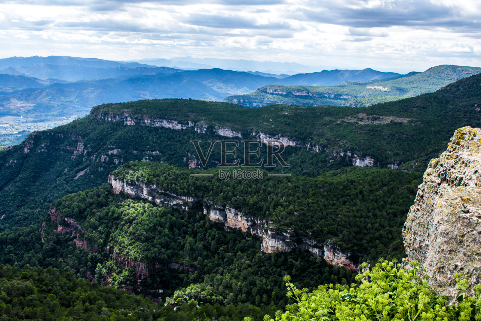 Mussara的照片摄影图片