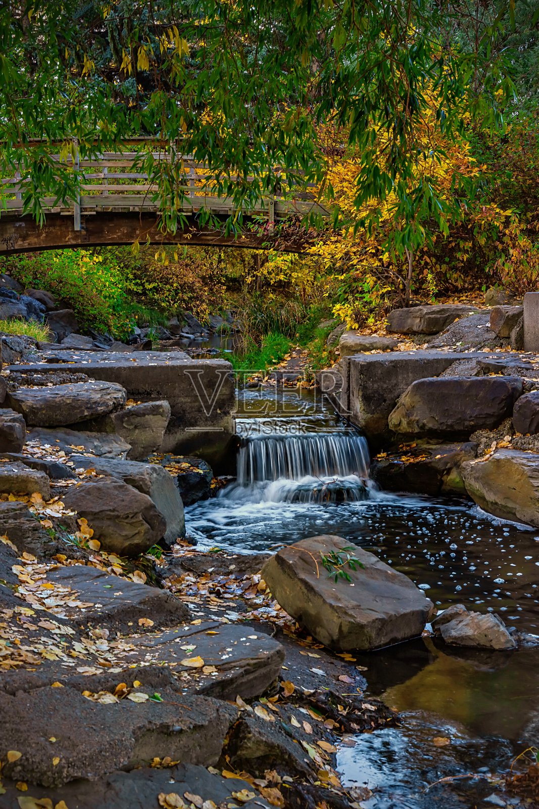 秋叶公园里的瀑布照片摄影图片