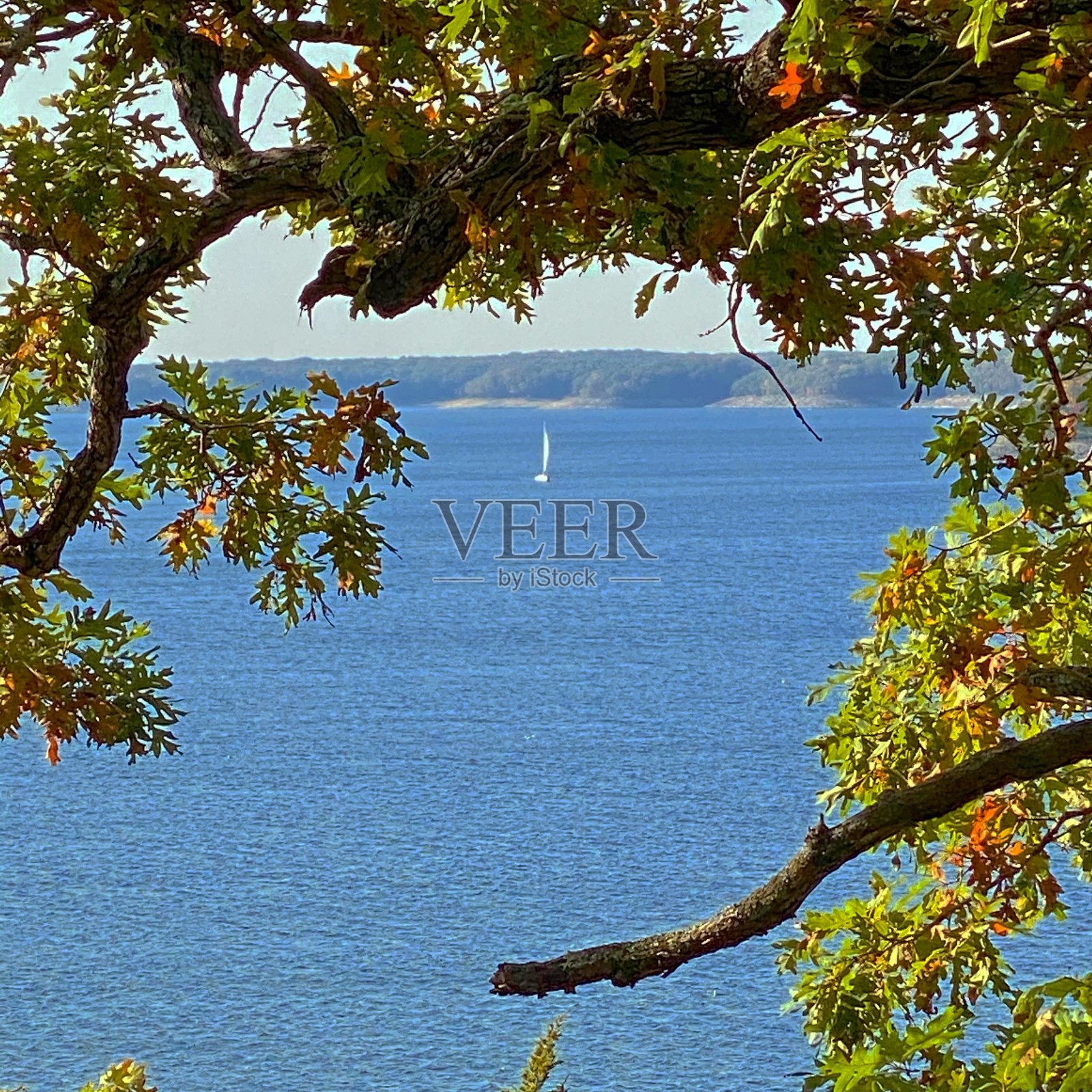 秋天的帆照片摄影图片