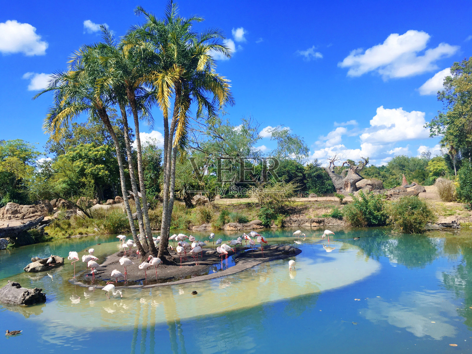 热带陆地景观照片摄影图片