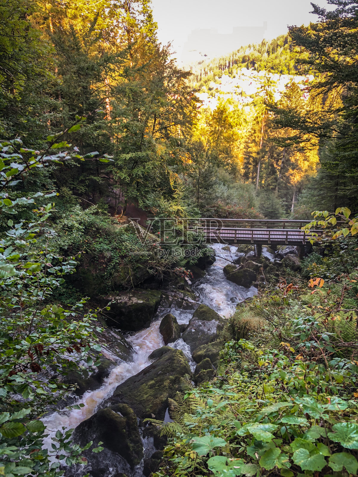 德国黑森林里的“特里伯格”瀑布。照片摄影图片