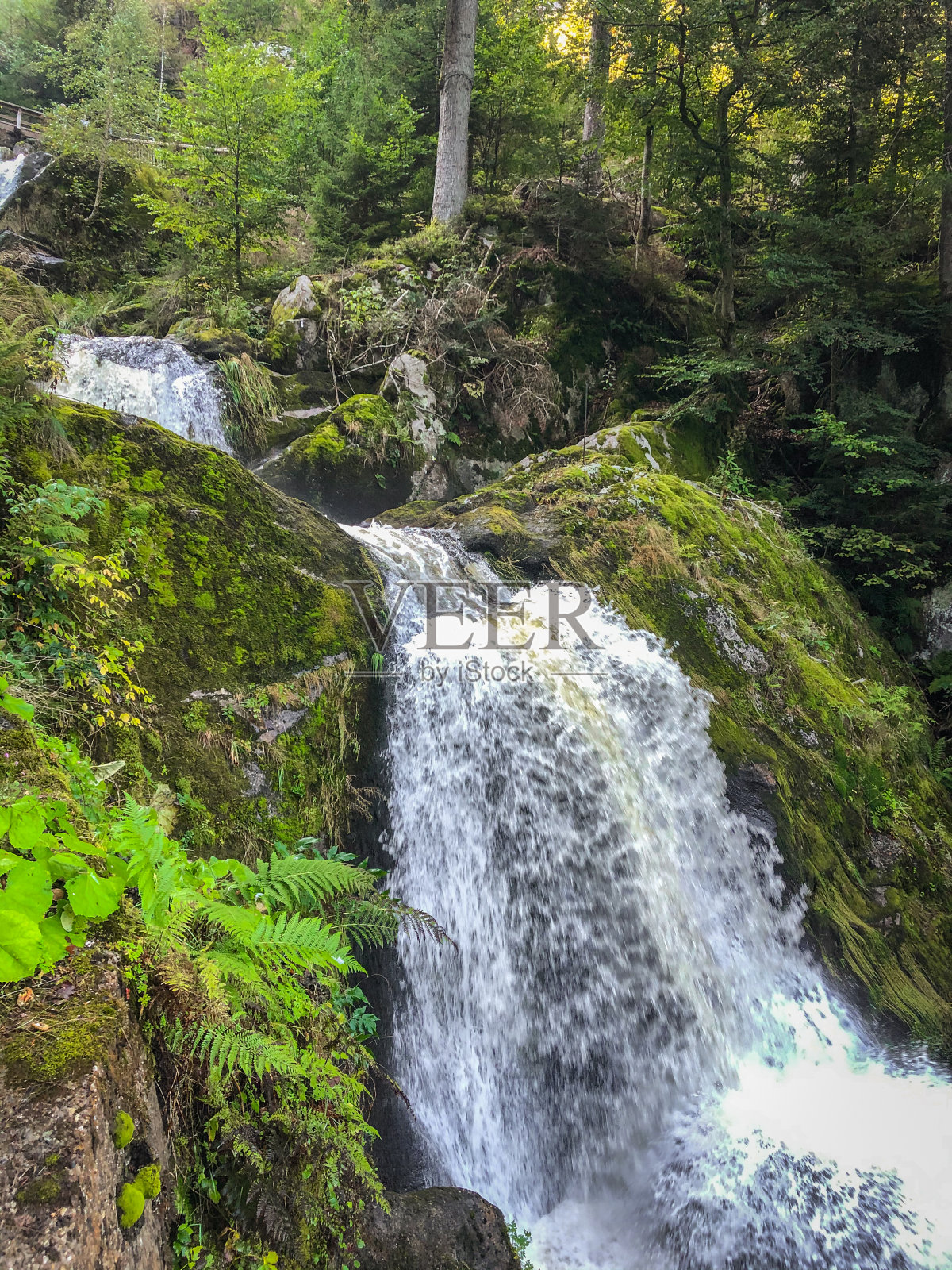 德国黑森林里的“特里伯格”瀑布。照片摄影图片