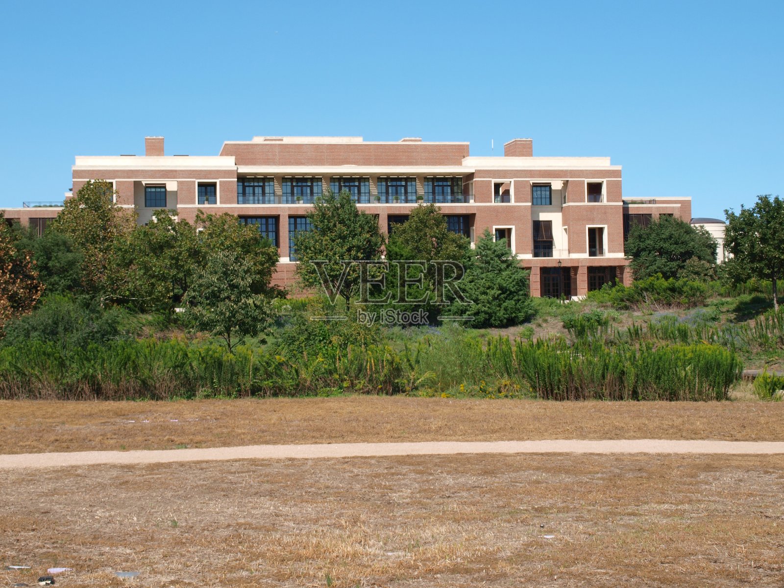 从公园看布什总统中心的南侧照片摄影图片