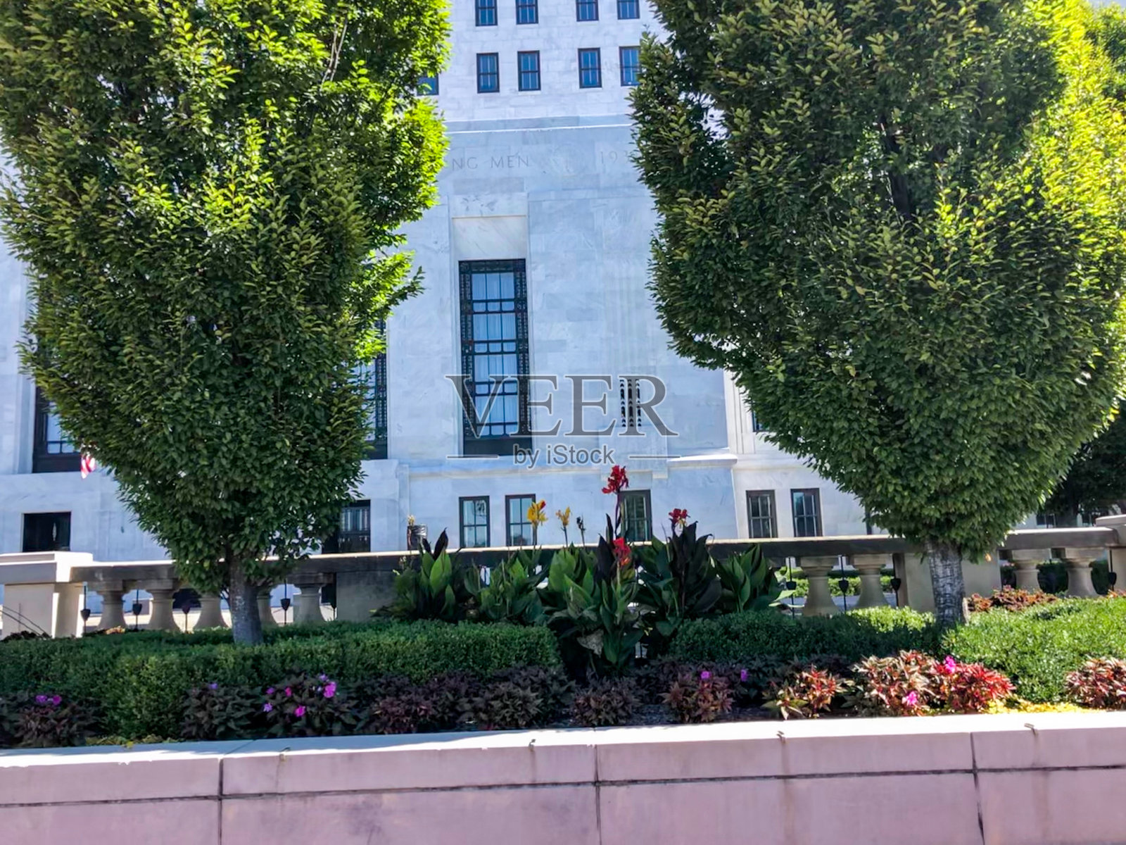 美丽多彩的花朵在城市照片摄影图片