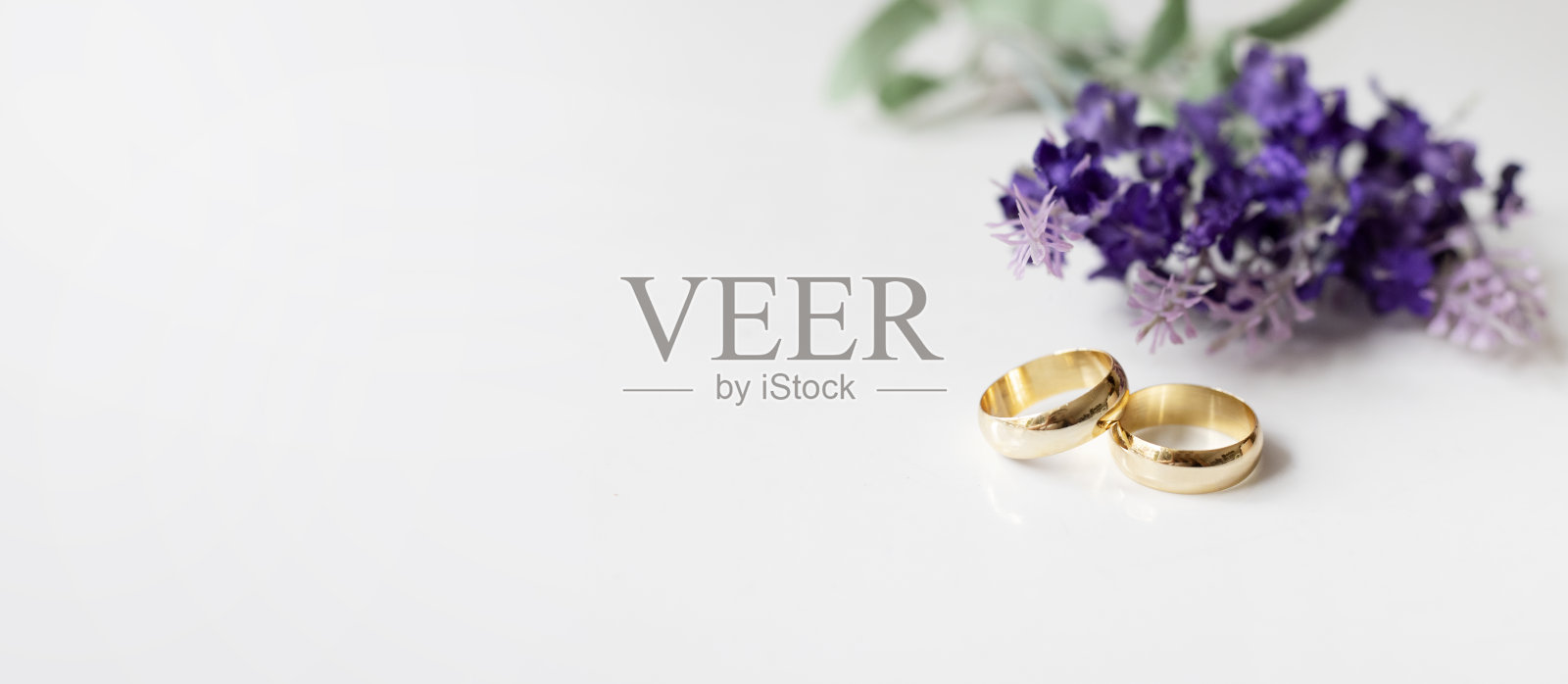 白色背景上的紫色花朵和两枚金婚戒。照片摄影图片