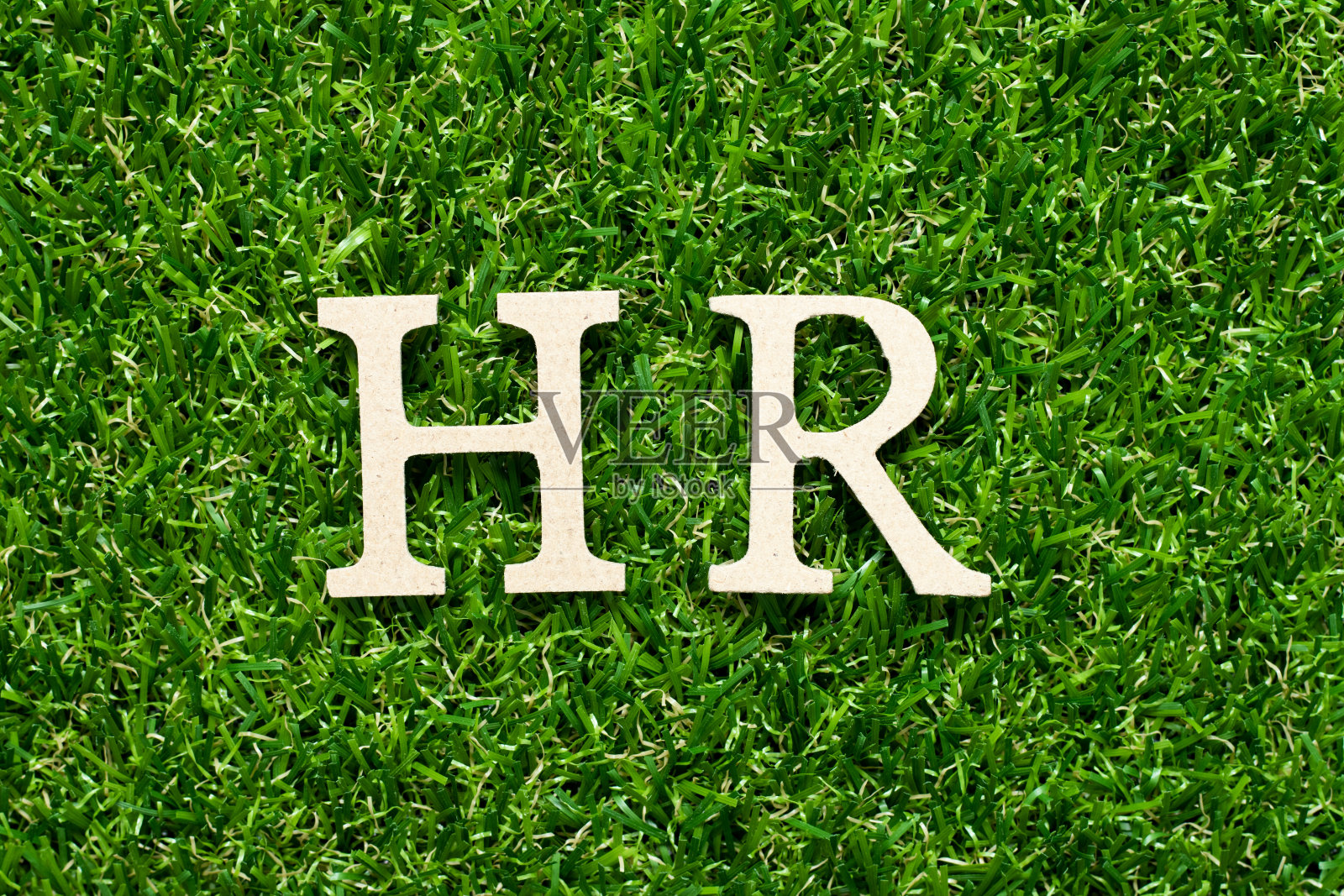 木字母字HR(人力资源缩写)在绿草背景下照片摄影图片
