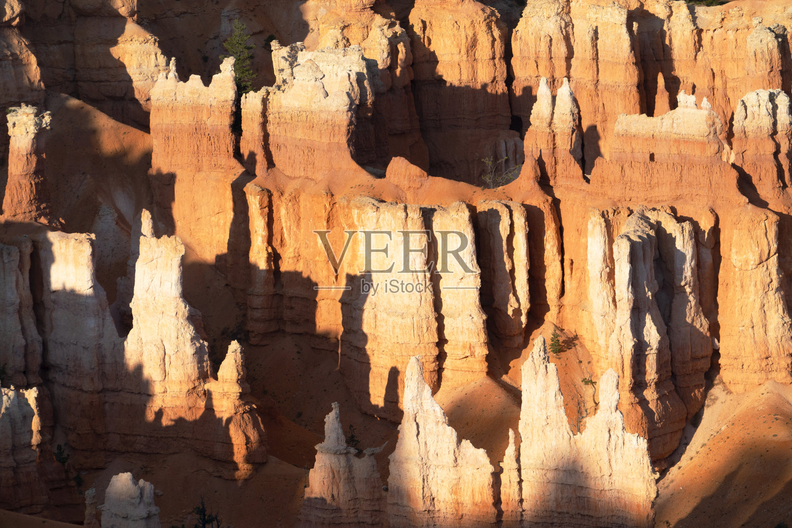 布莱斯峡谷国家公园照片摄影图片