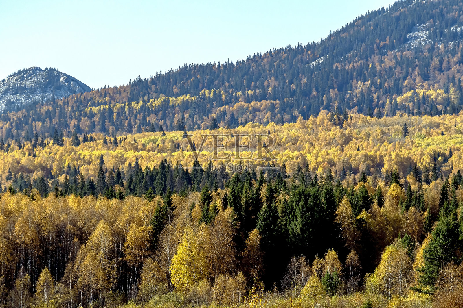 金秋时节，俄罗斯乌拉尔山脉的朱拉特库尔湖附近照片摄影图片