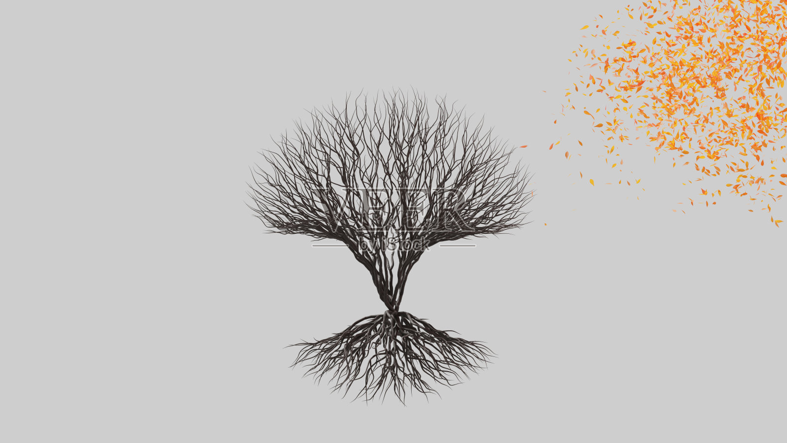 树是球形的。白色背景上的季节过渡。环保的概念。照片摄影图片