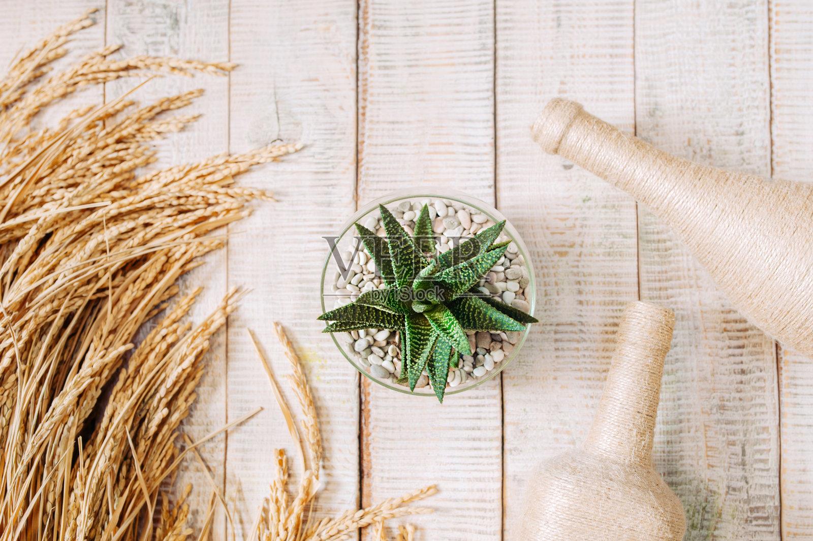 绿色多汁的木桌上有一束干米和绳纹装饰的瓶子，俯视图，选择性聚焦照片摄影图片