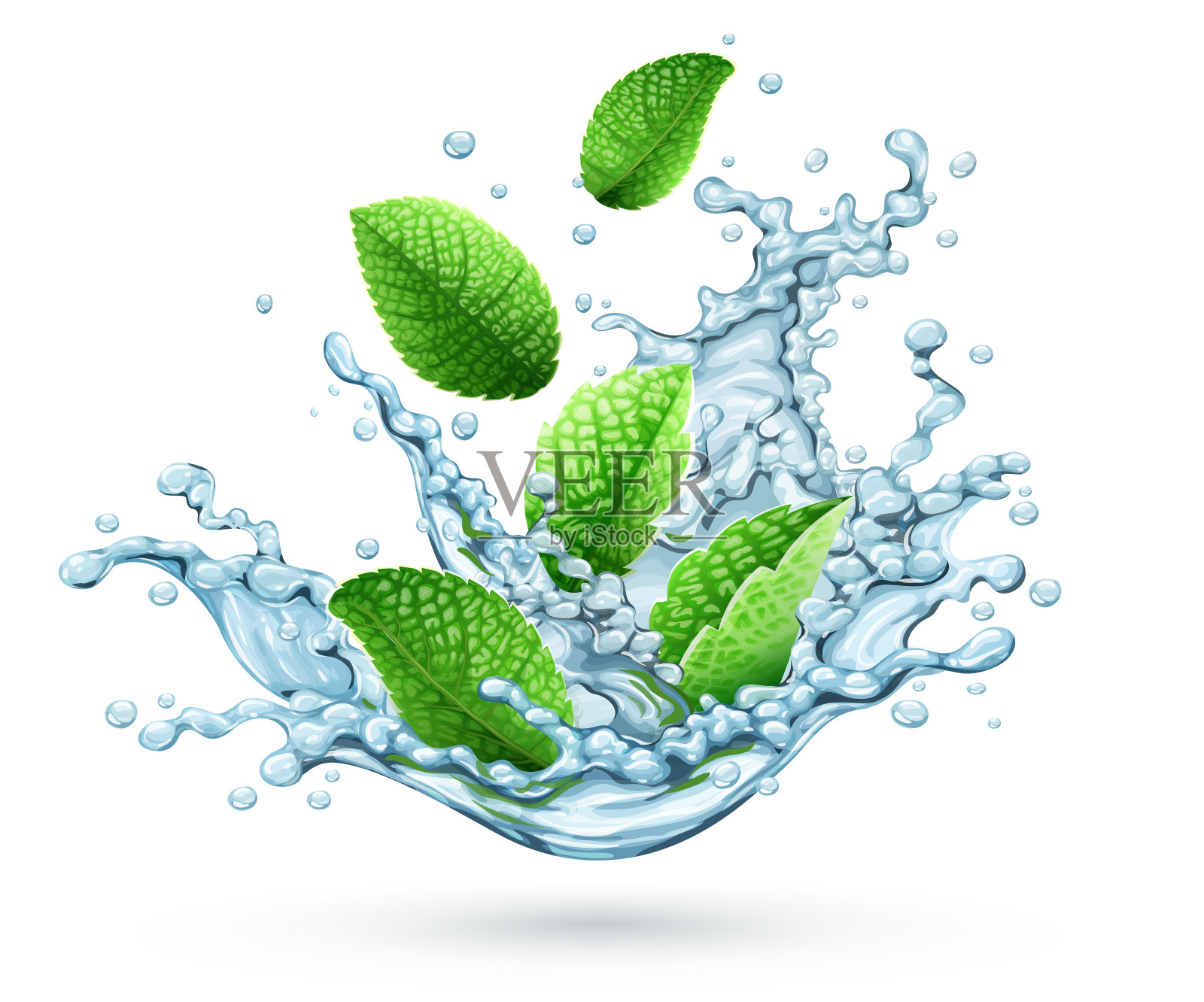 逼真的水溅与绿色的薄荷叶落下来。插图。照片摄影图片