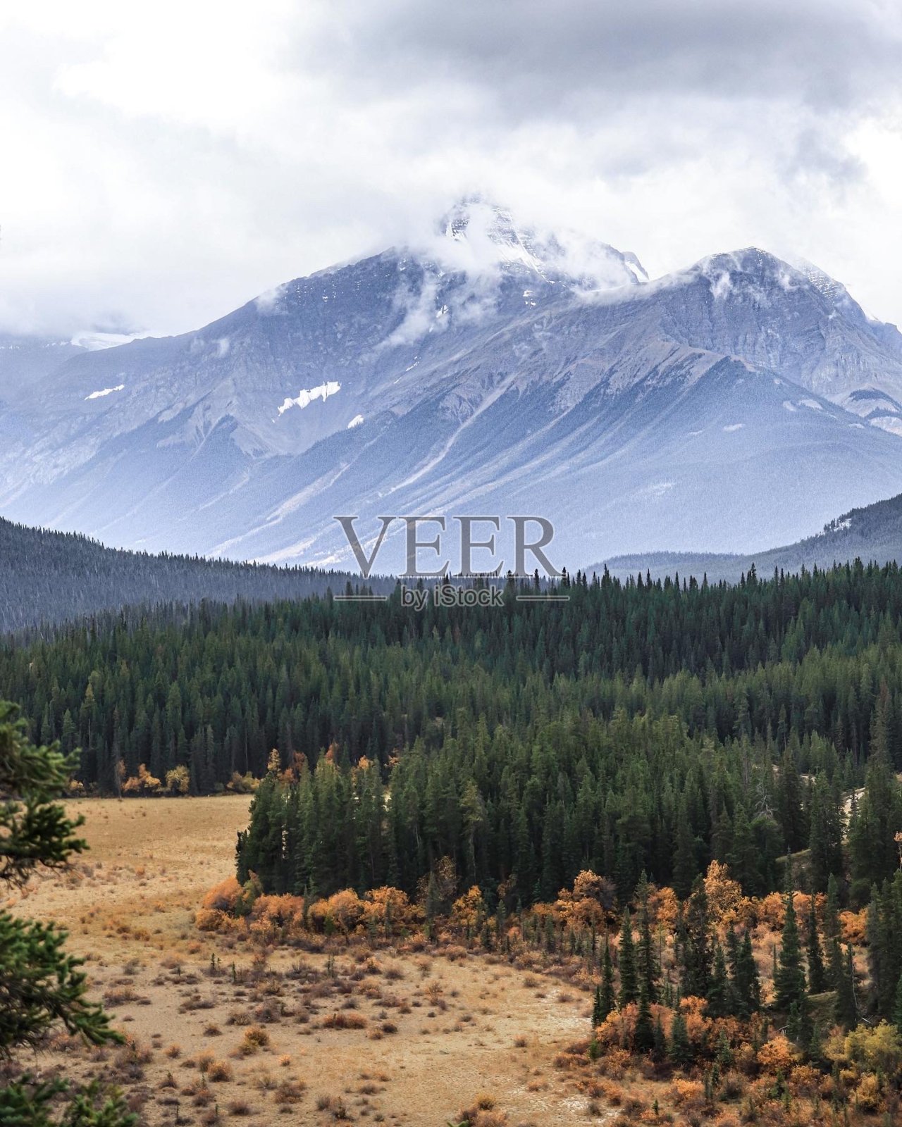 雪山俯瞰一个山谷，加拿大落基山脉照片摄影图片
