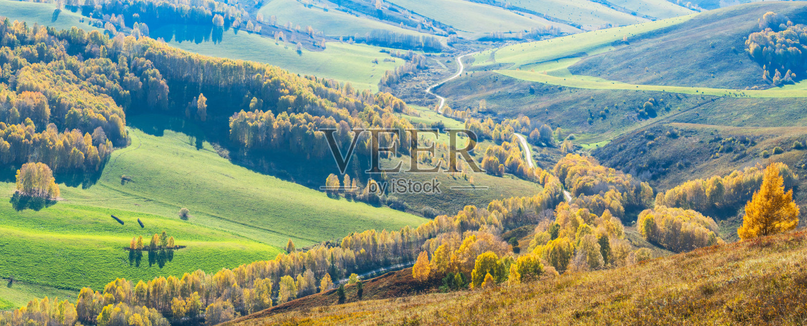 风景如画的山谷，乡村。草地和森林，秋天。照片摄影图片