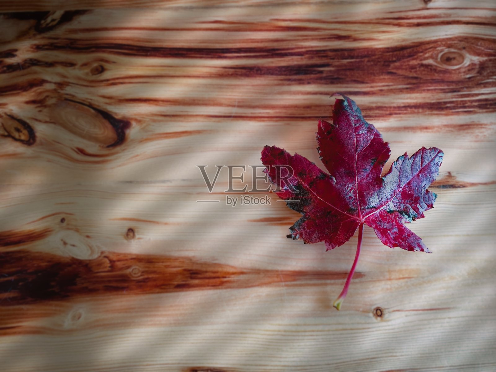 硬木桌上的枫叶照片摄影图片
