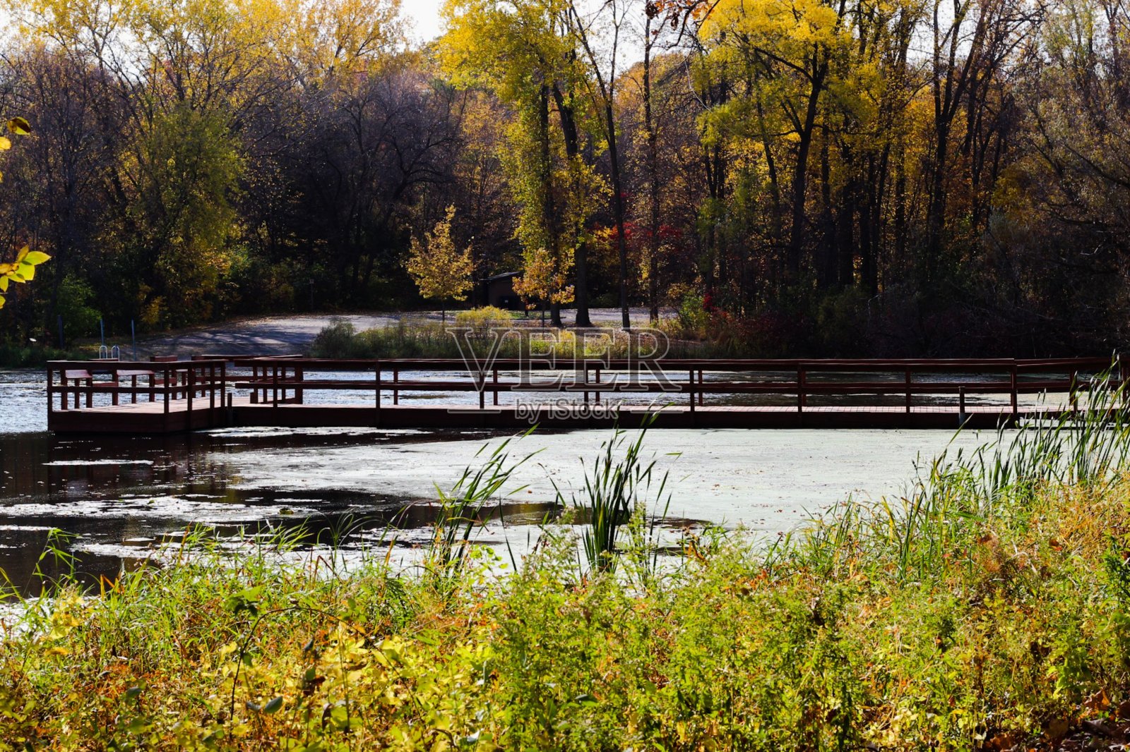 船坞在水中的侧视图照片摄影图片