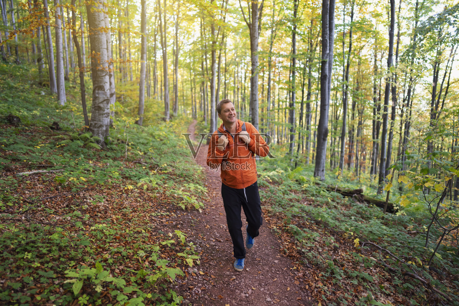 散步，享受大自然照片摄影图片