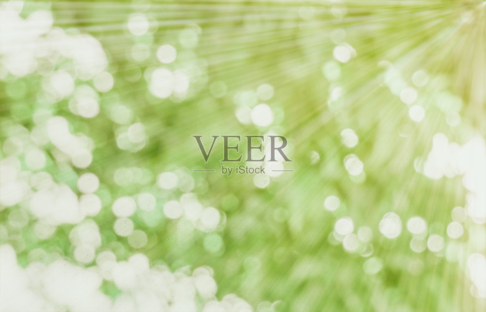 绿叶和阳光刺眼。模糊背景与散景模式照片摄影图片