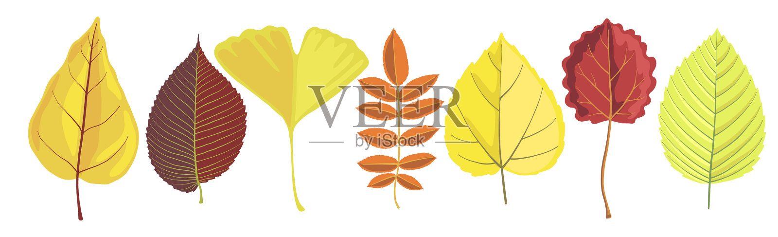把树叶设计元素图片