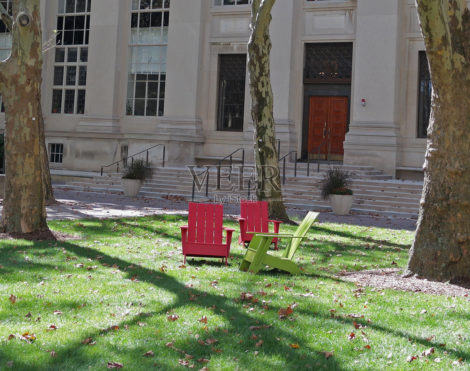 草坪上的红色和绿色椅子照片摄影图片