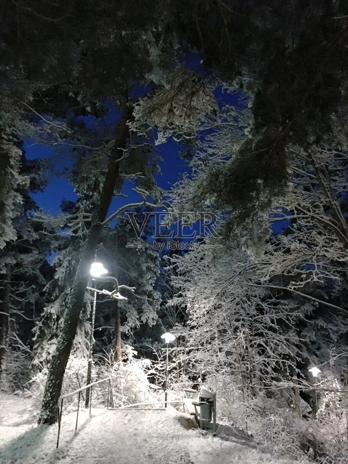 Snowcovered小径照片摄影图片