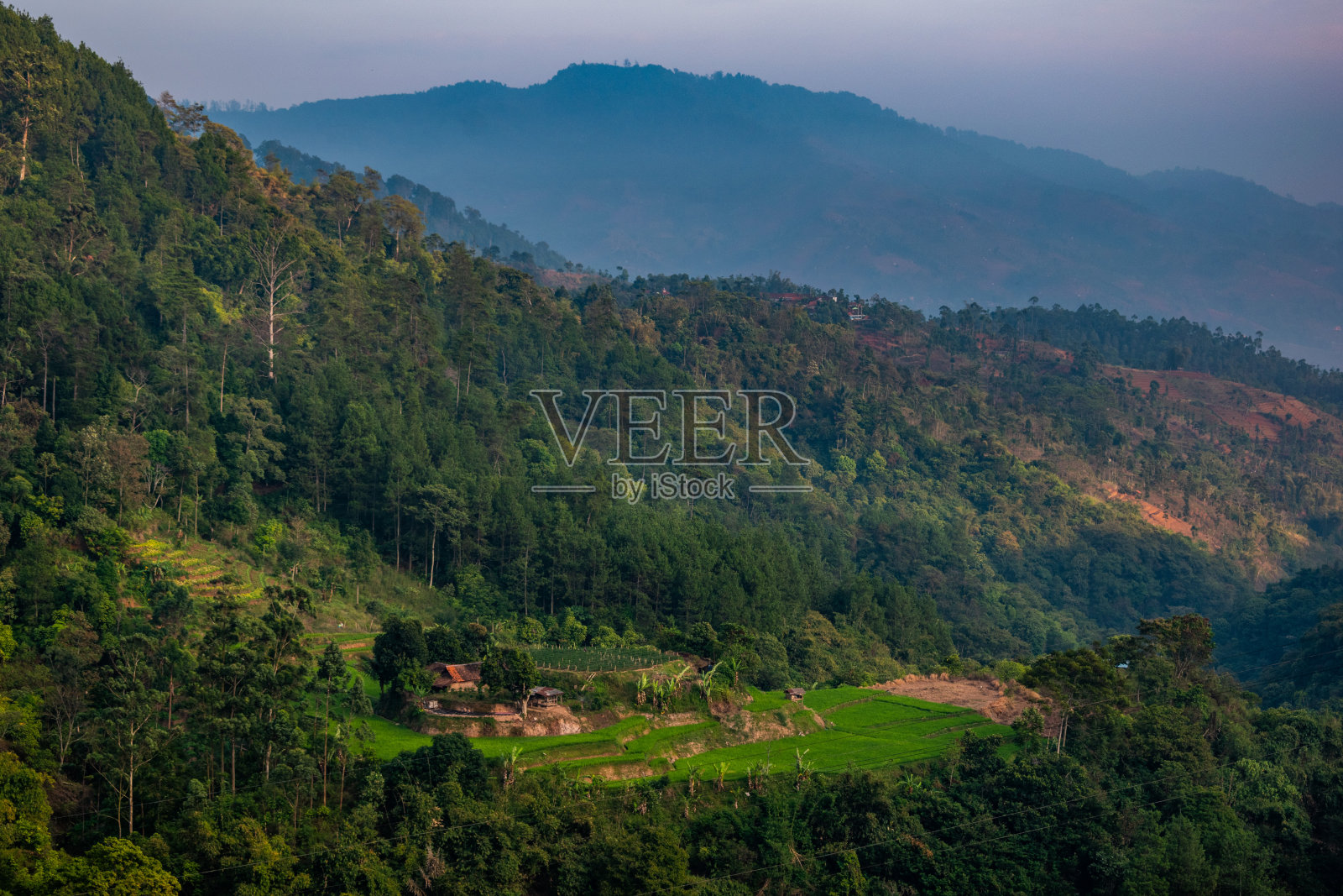 农业的观点照片摄影图片