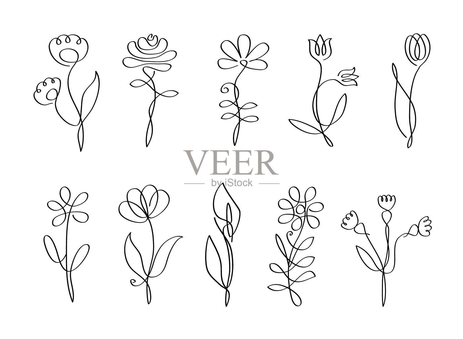 孤花线条艺术插画图片素材